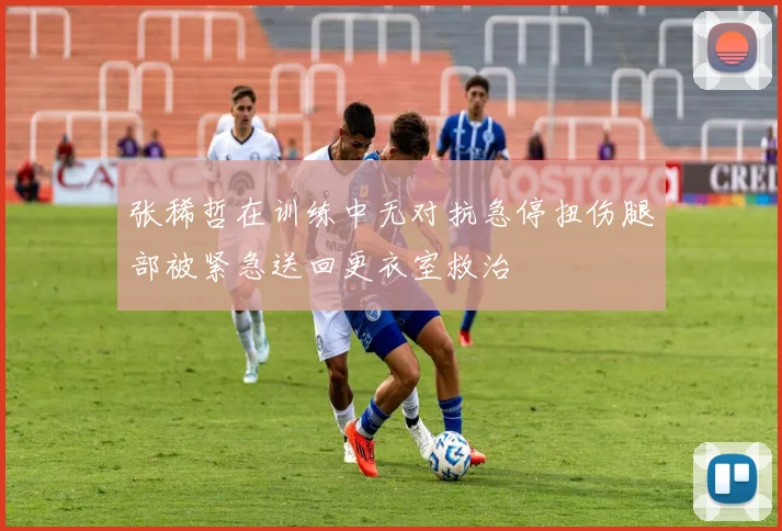 张稀哲在训练中无对抗急停扭伤腿部被紧急送回更衣室救治